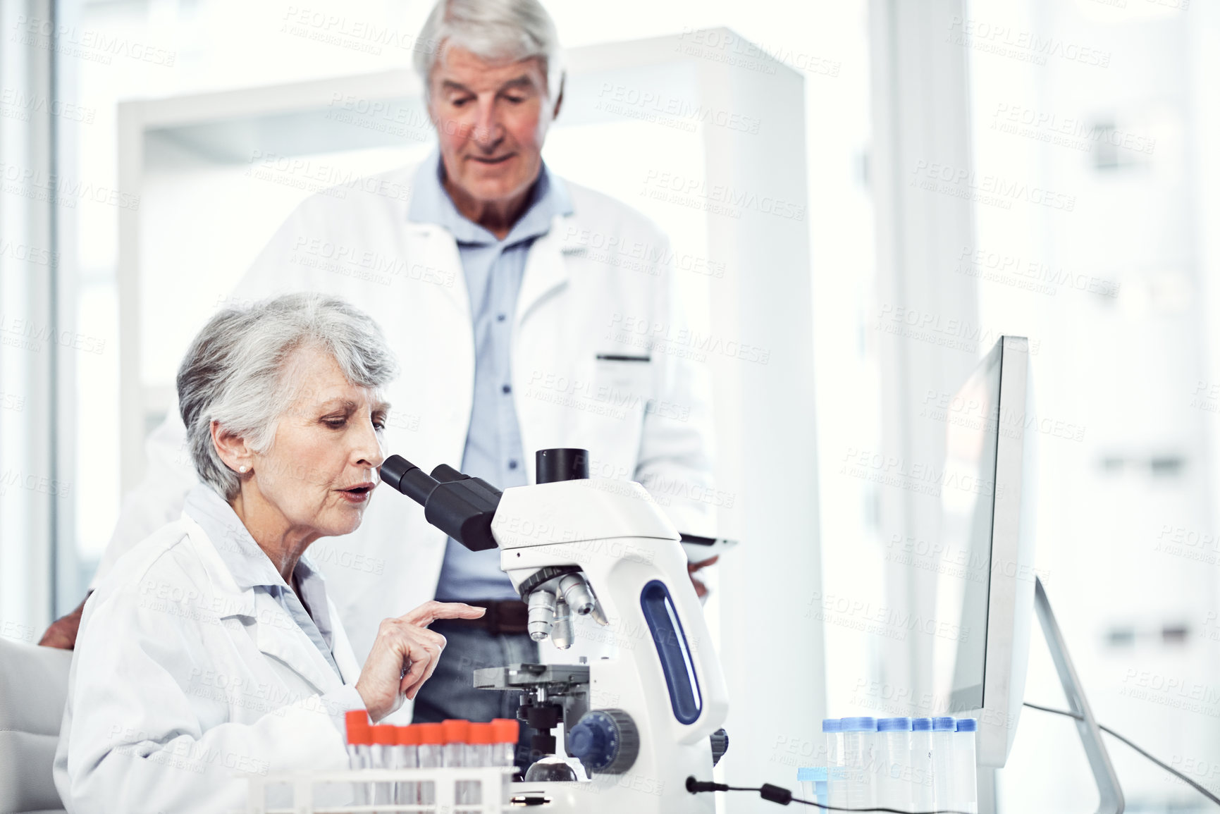 Buy stock photo Shot of two focused elderly scientists working together inside of a laboratory