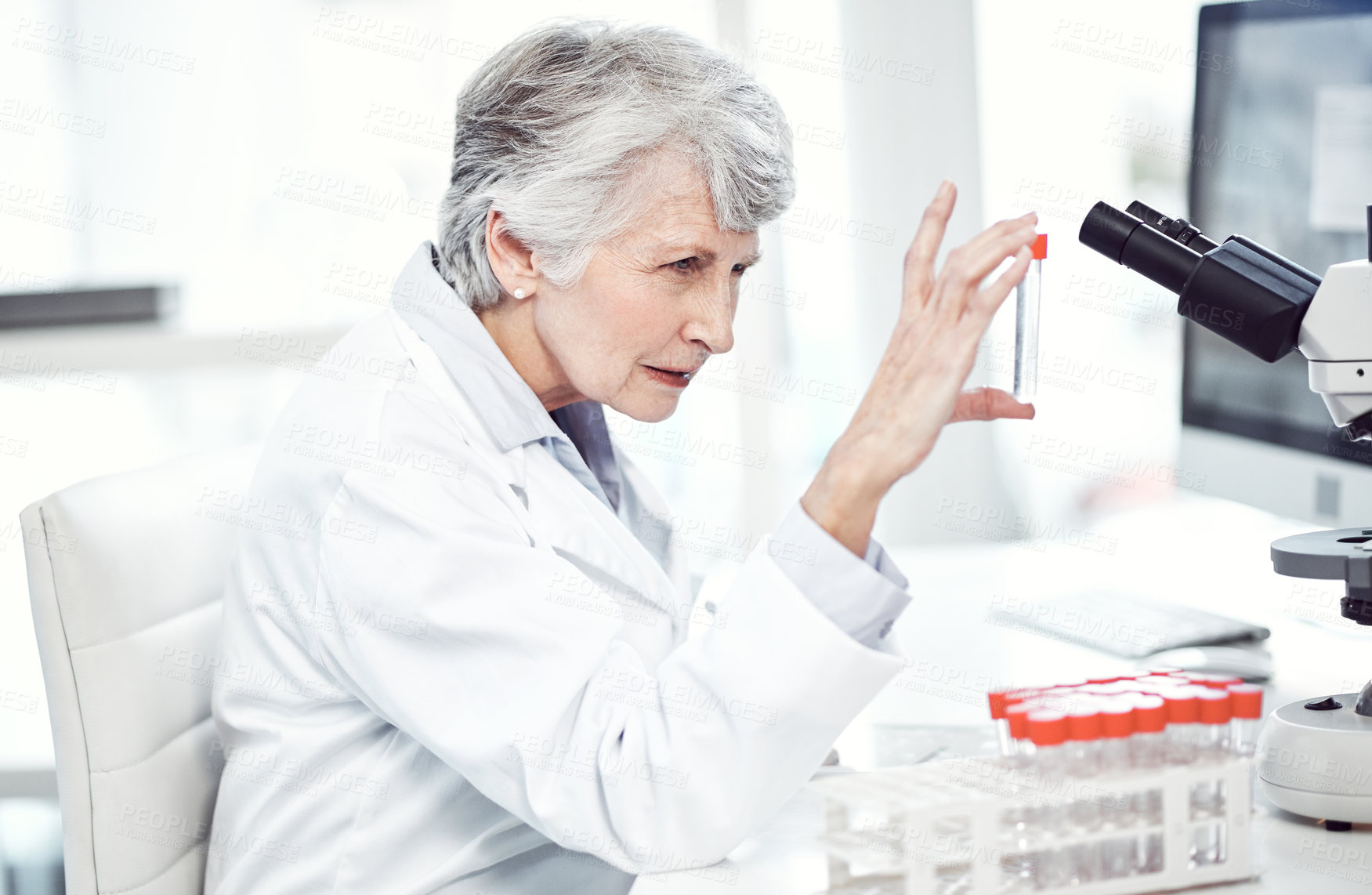 Buy stock photo Shot of a focused elderly female scientist holding up a test tube and examining it while being seated inside a laboratory