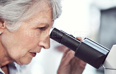 Buy stock photo Shot of a focused elderly female  scientist looking through a microscope while being seated in a laboratory