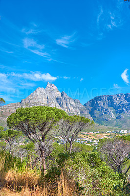 Buy stock photo The landscape of Table Mountain National Park, Cape Town, South Africa with district six area in the background on a summer's day with blue sky. Lush green vegetation growing on a nature reserve