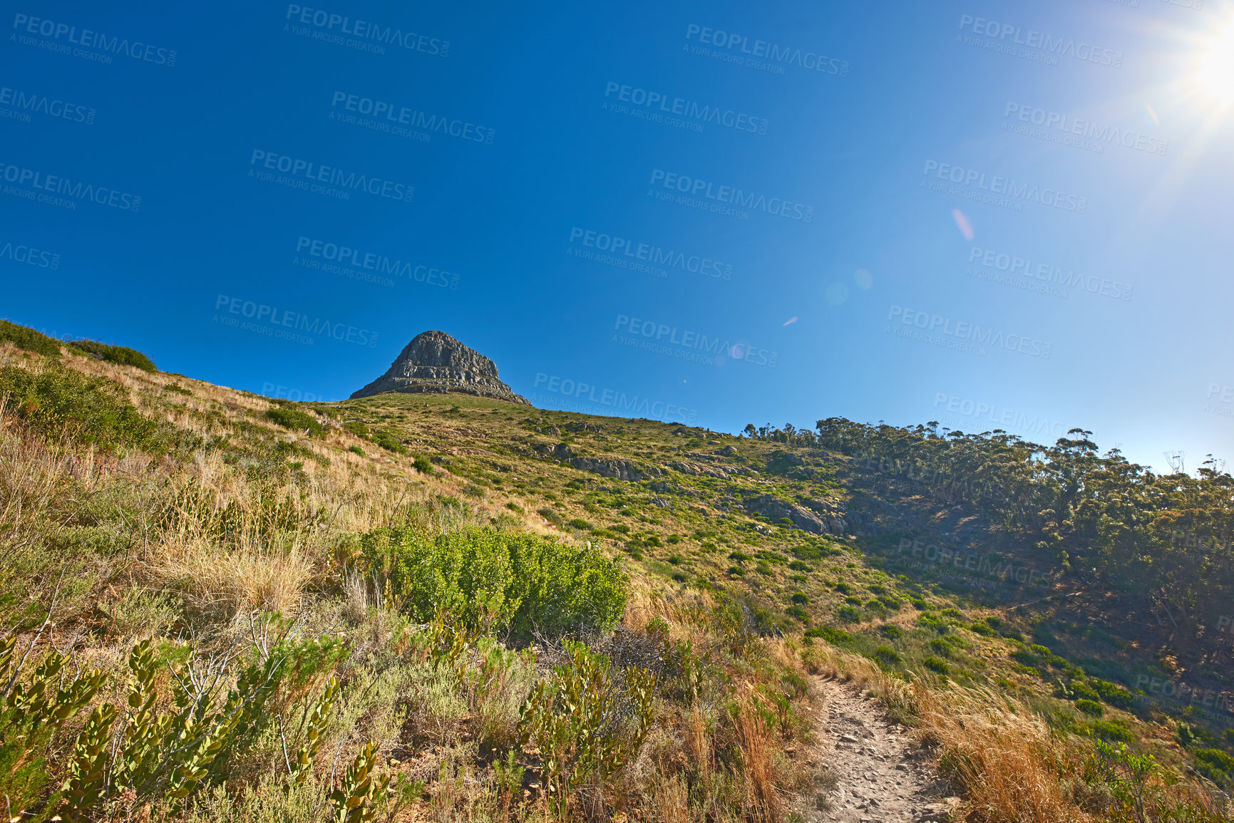 Buy stock photo Hiking the trail on Table Mountain National Park, Cape Town, South Africa. Sunlight shining Through Kasteelspoort Hiking footpath with green lush grass and bush growing on a nature reserve in summer