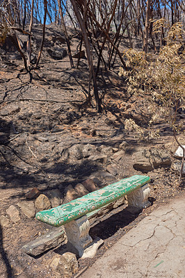 Buy stock photo Wildfire burnt forest trees, park bench in remote woods, nature reserve. Destruction aftermath, deforestation from uncontrollable nature bushfire, human error, global warming. Dry arid barren plants