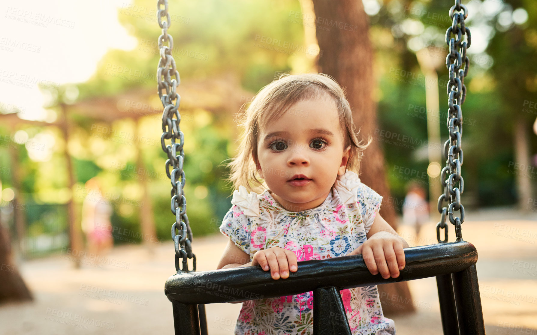 Buy stock photo Girl, baby and portrait in swing at park, garden and outdoor with fun, learning and balance on vacation in summer. Child, toddler and playful with development, growth and sunshine in Germany