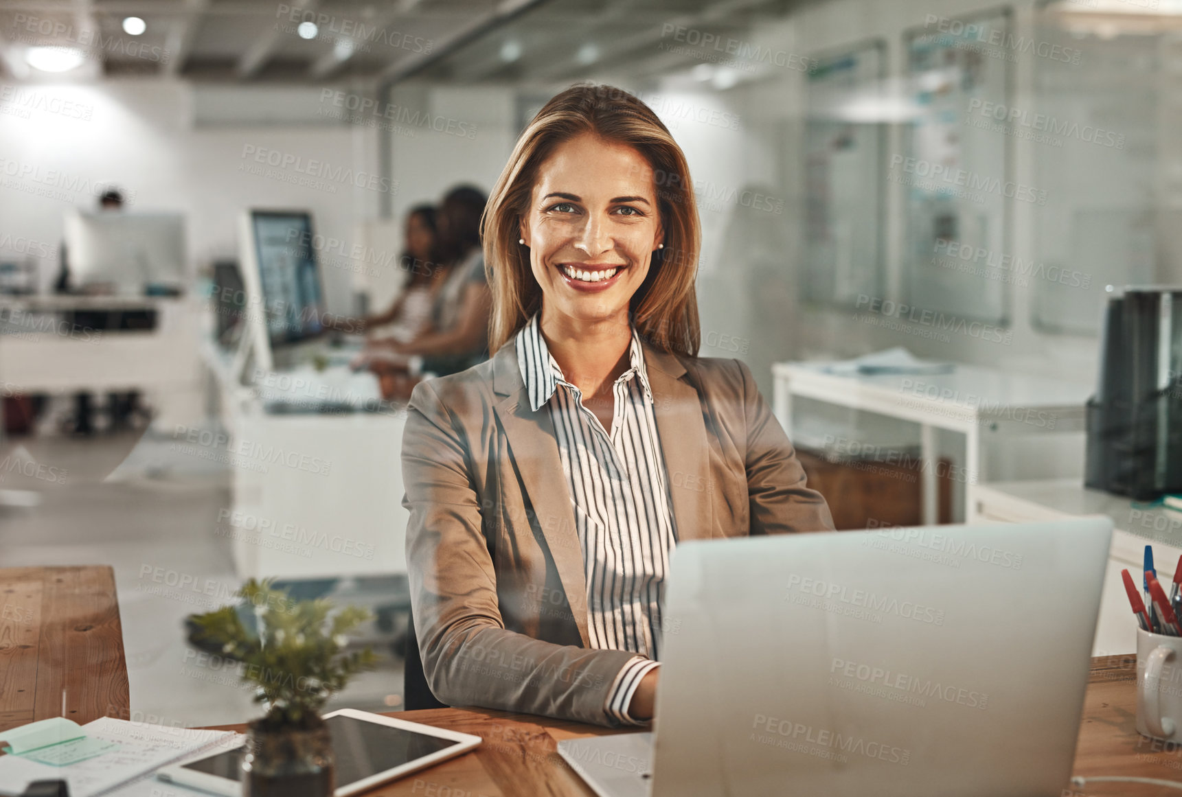 Buy stock photo Cropped portrait of an attractive mature businesswoman working on a laptop in her office