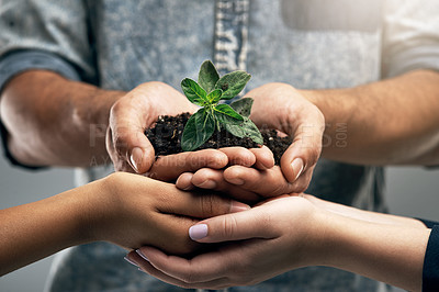 Buy stock photo Sustainable, environment and hands with plant for nature as a team for eco hope and in collaboration together. Carbon footprint, sustainability and group of people with dirt, soil and leaves in palm