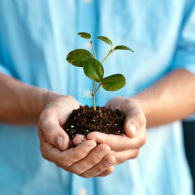 Buy stock photo Plant, growth and sustainability with a person holding a budding flower in soil closeup for conservation. Earth, spring or nature with hands nurturing growing plants in dirt for environmental ecology