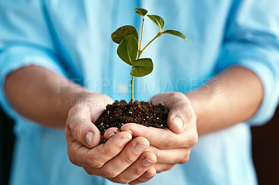 Buy stock photo Plant, growth and sustainability with the hands of a person holding a budding flower in soil closeup for conservation. Earth, spring and nature with an adult nurturing plants in dirt for ecology