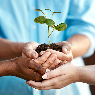 Buy stock photo Plant, growth and sustainability with people holding a budding flower in soil closeup for conservation. Earth, spring and nature with adults nurturing growing plants in dirt for environmental ecology