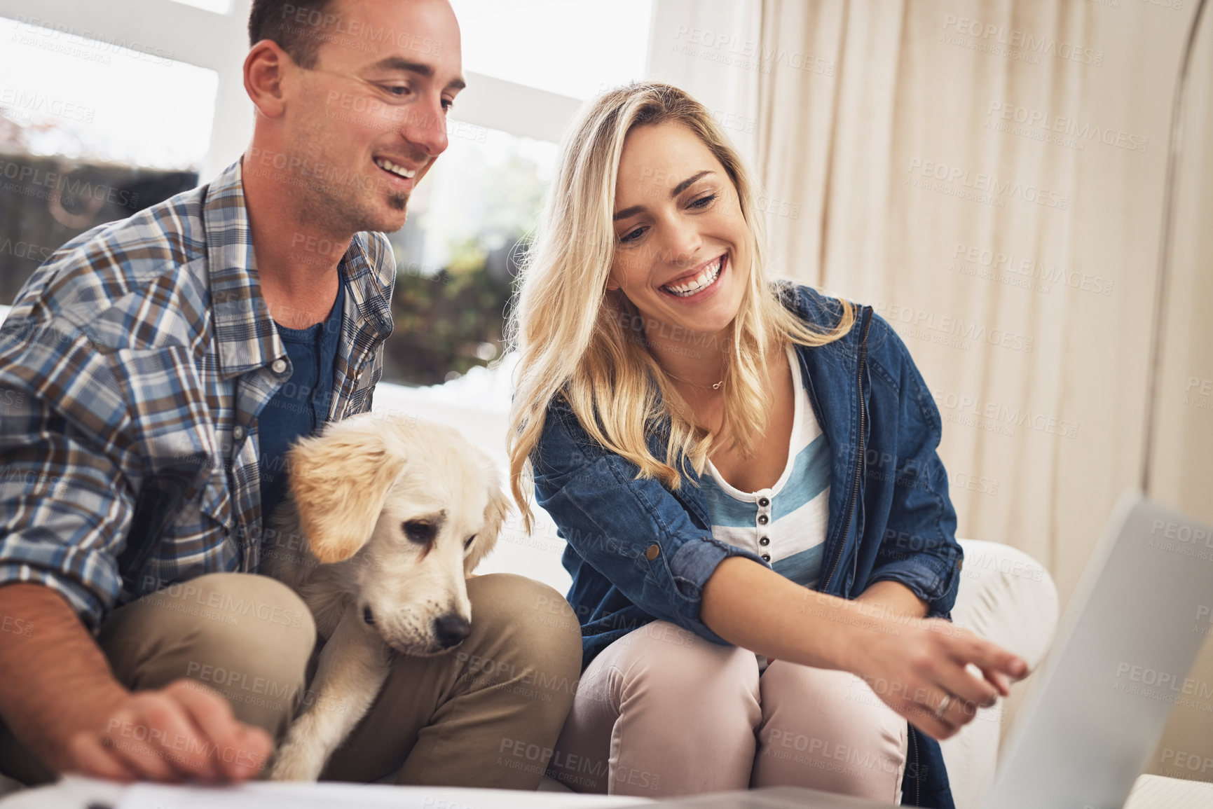 Buy stock photo House, dog and couple with laptop, smile and planning for pet insurance, pointing and browsing in living room. Home, people and reading of website, woman and man with choice of cover for animal