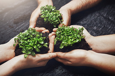 Buy stock photo Plant soil, hands and global with teamwork by dark surface for nature and environment future for Earth Day. Sustainability, collaboration and diverse people with climate change and green for ecology