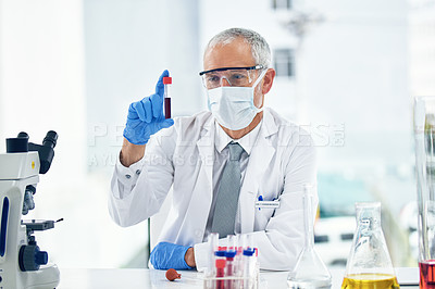 Buy stock photo Science, vaccine and doctor with blood in a test tube with results of medical exam in a lab or laboratory. Medicine, research and healthcare man or chemistry professional with solution for covid