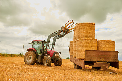 Buy stock photo Hay, agriculture and a tractor on a farm in the harvest season for sustainability outdoor on an open field. Nature, summer sky and clouds with a red agricultural vehicle harvesting in the countryside