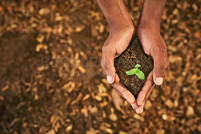 Buy stock photo Palm, person and holding plant in soil with earth day, environment growth and volunteer of ngo business. Hands, leaf and and wellness support for agriculture, helping and saving opportunity of nature