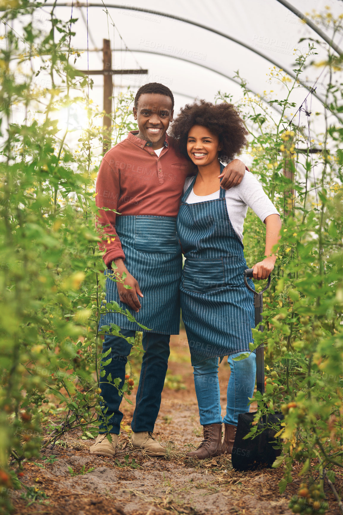 Buy stock photo Agriculture, smile and portrait of couple on farm for sustainability, environment and vegetables supplier. Growth, plants and eco friendly with people in countryside for permaculture and soil health