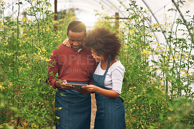 Buy stock photo Cropped shot of young farm couple using a tablet while checking their crops