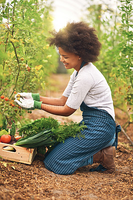 Buy stock photo Agriculture, smile and box with woman on farm for sustainability, environment and vegetables supplier. Growth, plants and eco friendly with person in countryside for permaculture and soil health