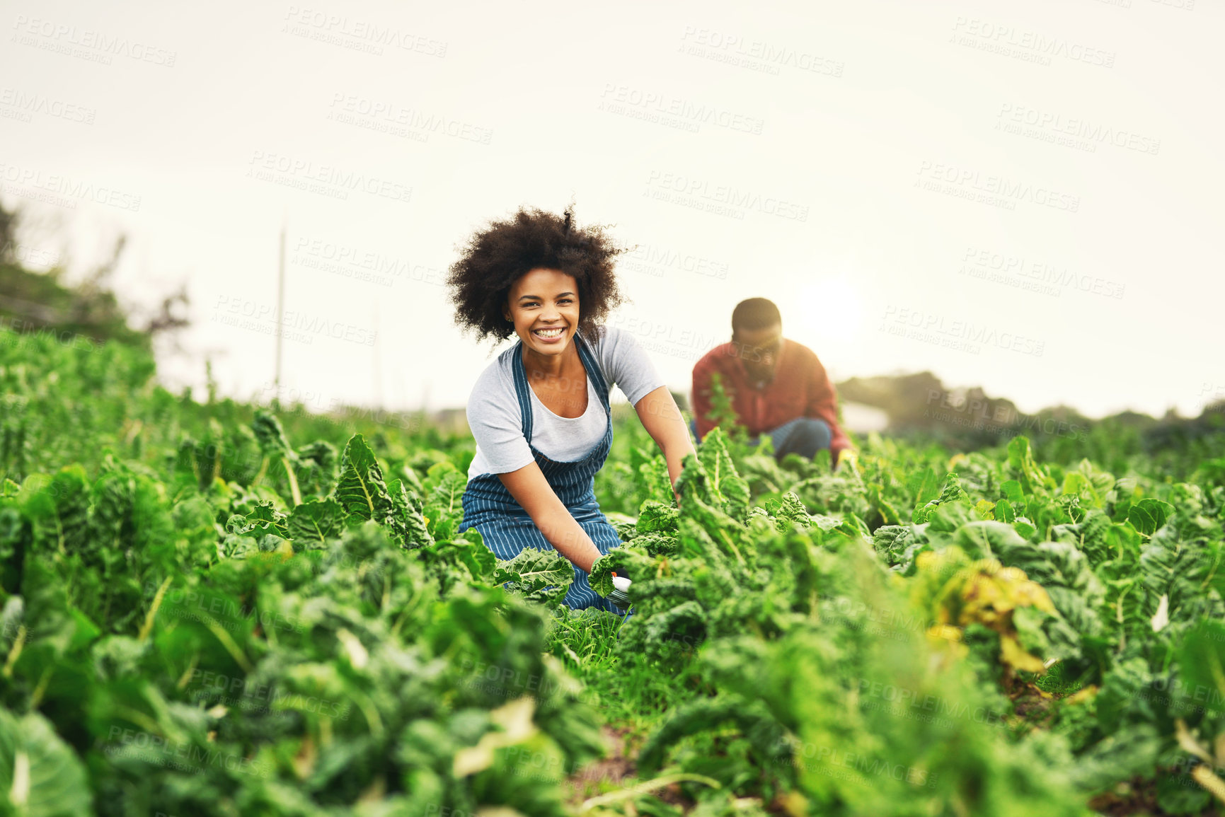 Buy stock photo Portrait of an attractive young female farmer working the fields with her husband in the background