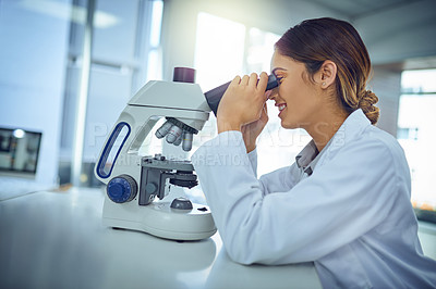 Buy stock photo Shot of a young scientist using a microscope in a lab