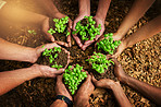 Working together for a green cause
