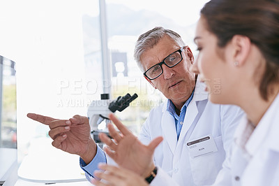 Buy stock photo Shot of two scientists working together on a computer in a lab