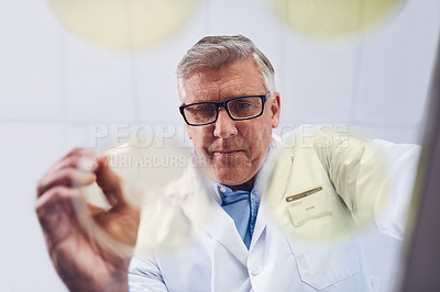 Buy stock photo Low angle shot of a mature scientist conducting an experiment in a lab