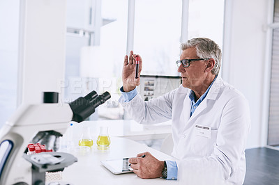Buy stock photo Shot of a mature scientist analyzing a test tube in a lab