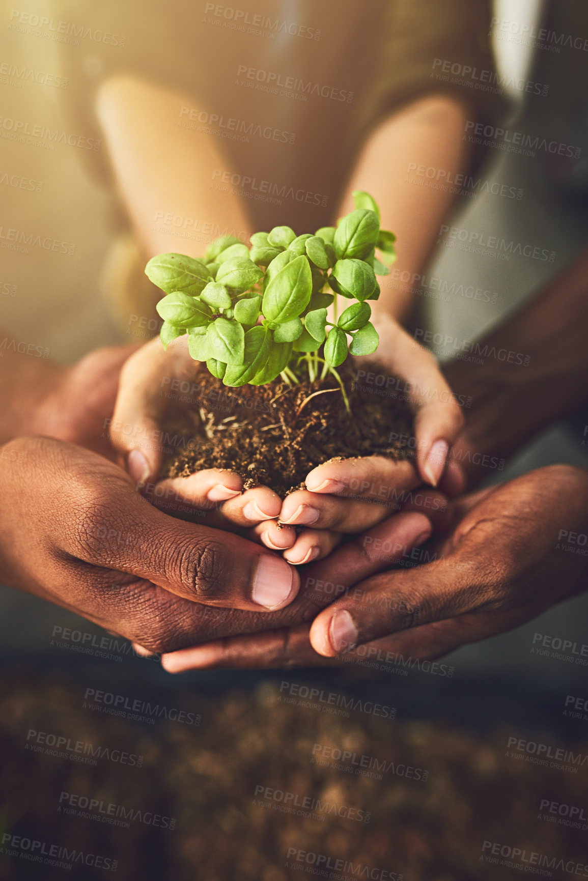 Buy stock photo Closeup shot of a group of unrecognizable people holding a plant growing out of soil