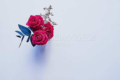 Buy stock photo Studio shot of a bouquet of roses with blue leaves placed against a grey background