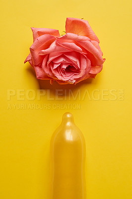 Buy stock photo Studio shot of a condom with a pink rose on top of it placed against a yellow background