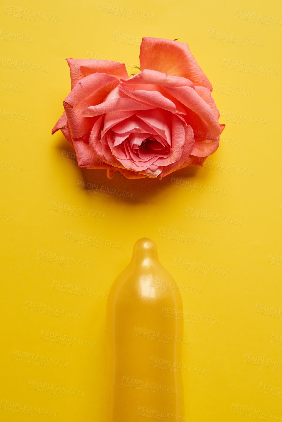 Buy stock photo Studio shot of a condom with a pink rose on top of it placed against a yellow background