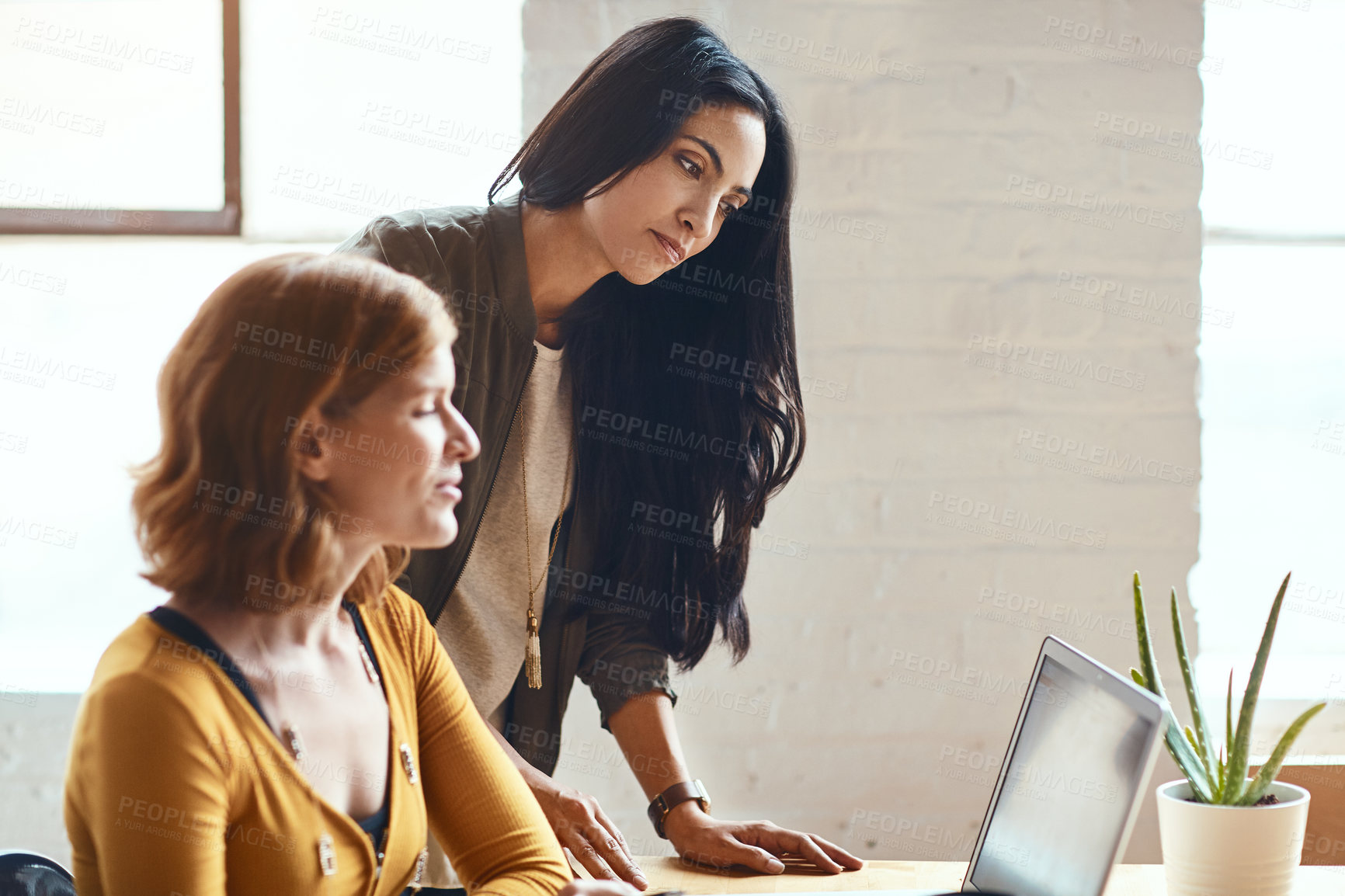 Buy stock photo Cropped shot of two young businesswomen working on a laptop together in their modern office