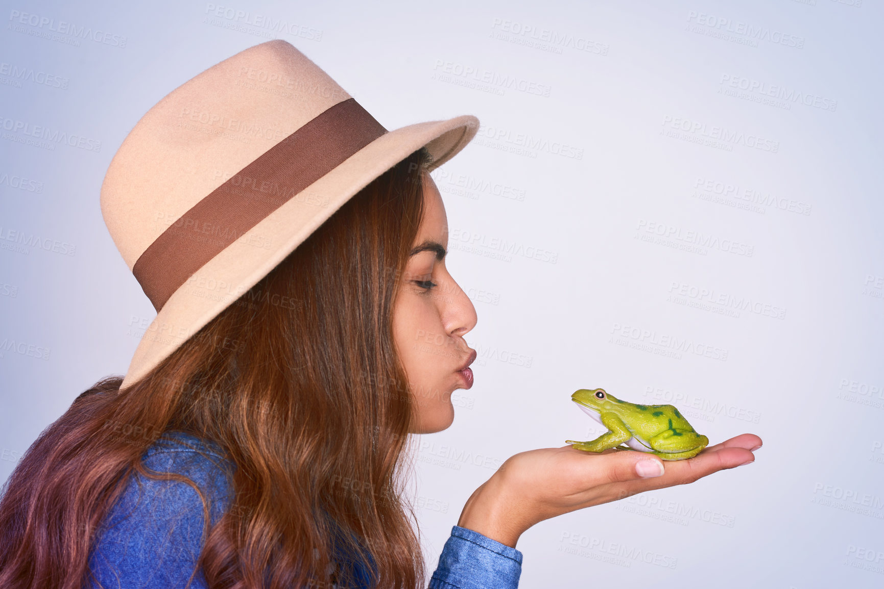 Buy stock photo Face, frog and profile of woman kissing in studio on blue background for fantasy, hope or wish. Love, magic or storytelling and person holding toad in hands to imagine fairytale with eyes closed