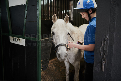 Buy stock photo Shot of a young girl grooming her horse indoors