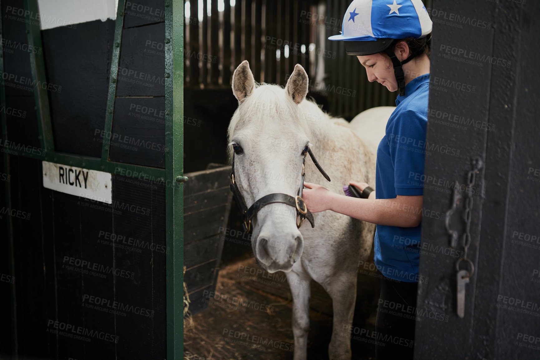 Buy stock photo Shot of a young girl grooming her horse indoors