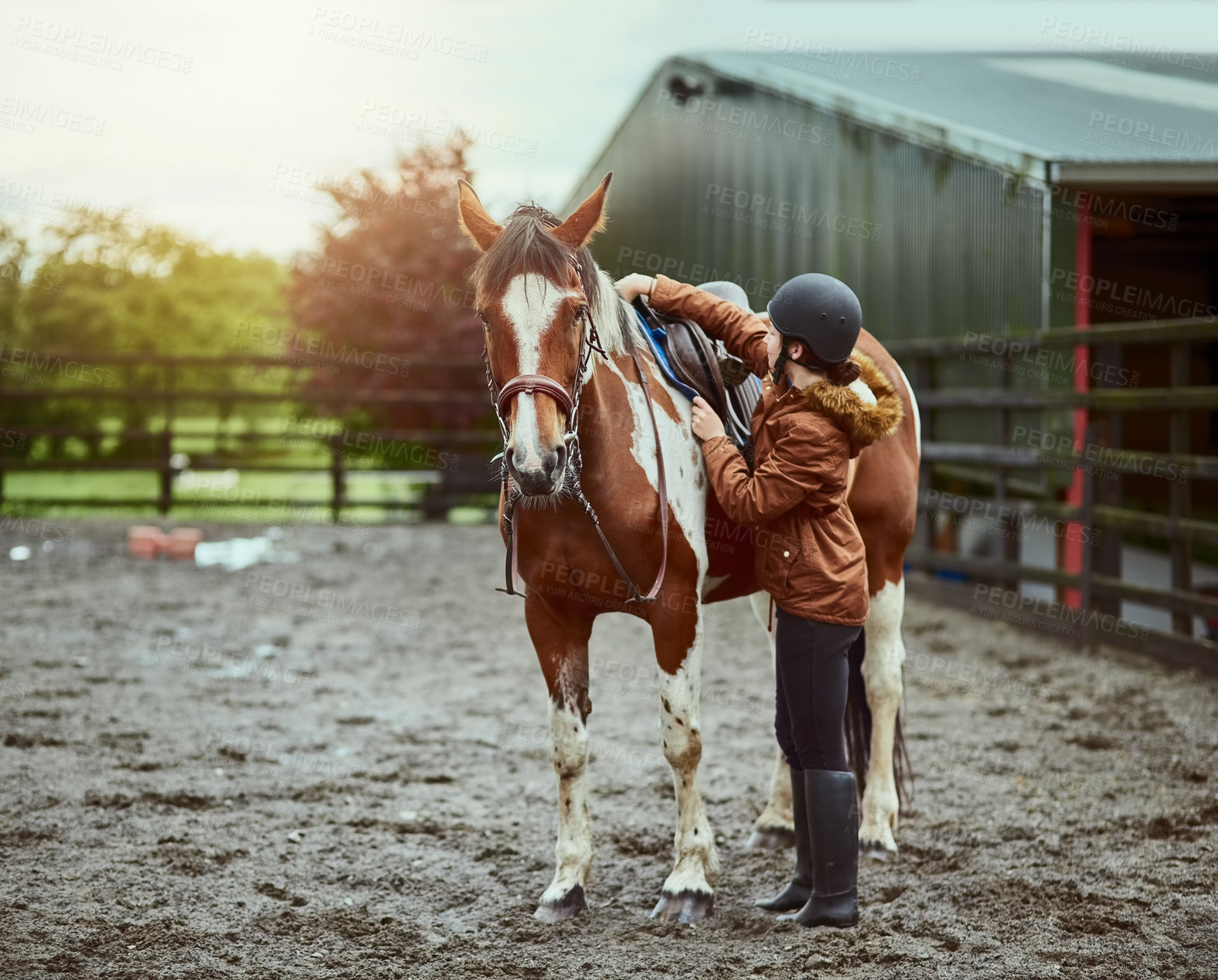 Buy stock photo Horse, girl and adjust saddle at farm for race, sport and training at countryside ranch. Animal, equestrian and prepare seat for riding with pet for safety, care and protection with teenager outdoor