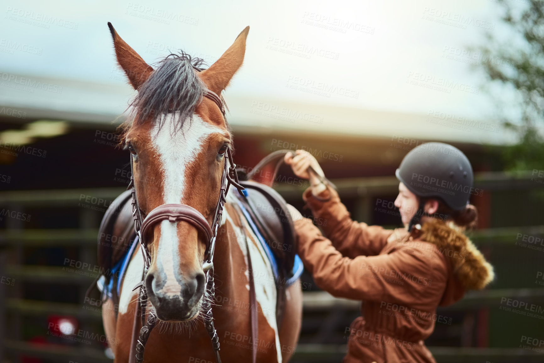 Buy stock photo Horse, girl and prepare saddle at farm for race, sport and training at countryside ranch. Animal, equestrian and adjust seat for riding with pet for safety, care and get ready with teenager outdoor