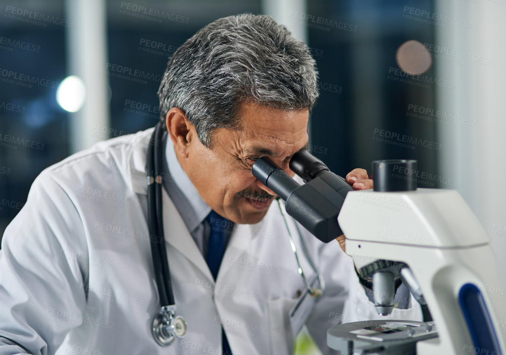 Buy stock photo Health science, mature doctor or microscope in lab for healthcare, tissue sample or diagnosis. Specialist, technology or research in hospital for investigation, blood analysis or testing for disease