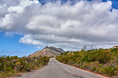 Buy stock photo The wilderness of Cape Point National Park 