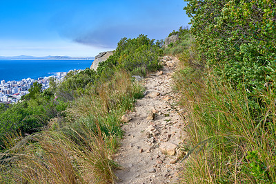 Buy stock photo Nature, hiking trail and greenery on a mountain for outdoor travel adventure in South Africa. Landscape, hill and gravel path for trekking journey with green trees, grass or plants in woods or forest