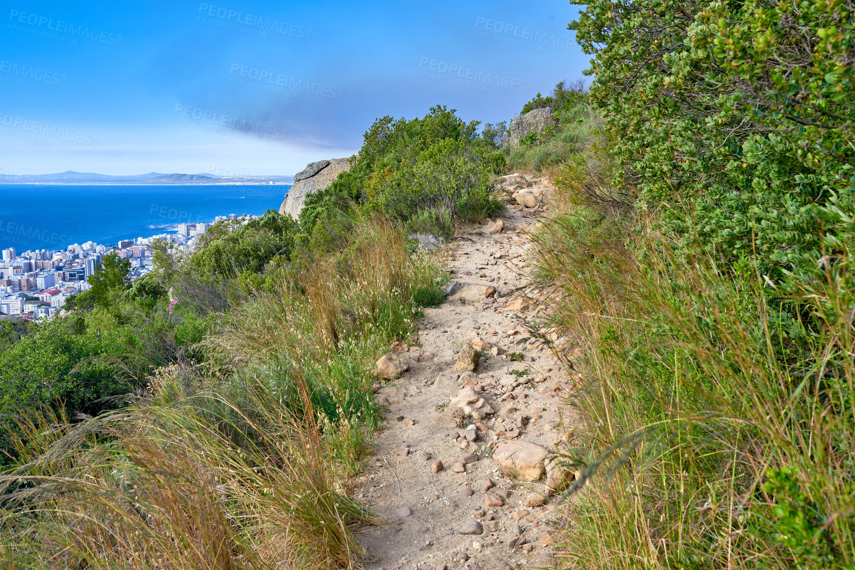 Buy stock photo Nature, hiking trail and greenery on a mountain for outdoor travel adventure in South Africa. Landscape, hill and gravel path for trekking journey with green trees, grass or plants in woods or forest