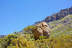 Cedarberg Wilderness Area  - South Africa