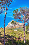 Lion's Head - Cape Town