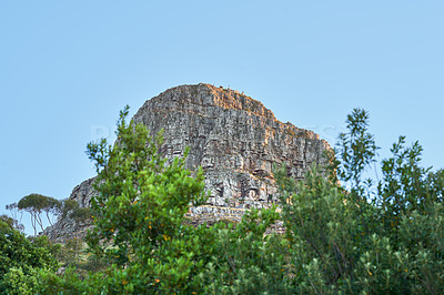 Buy stock photo Panorama of Table Mountain and the Twelve Apostles mountain range seen from Lion's Head near Signal Hill in the evening sun. Photo half-covered with long trees and a mountain under a bright blue sky.