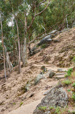 Buy stock photo Mountain trail - Table Mountain National Park