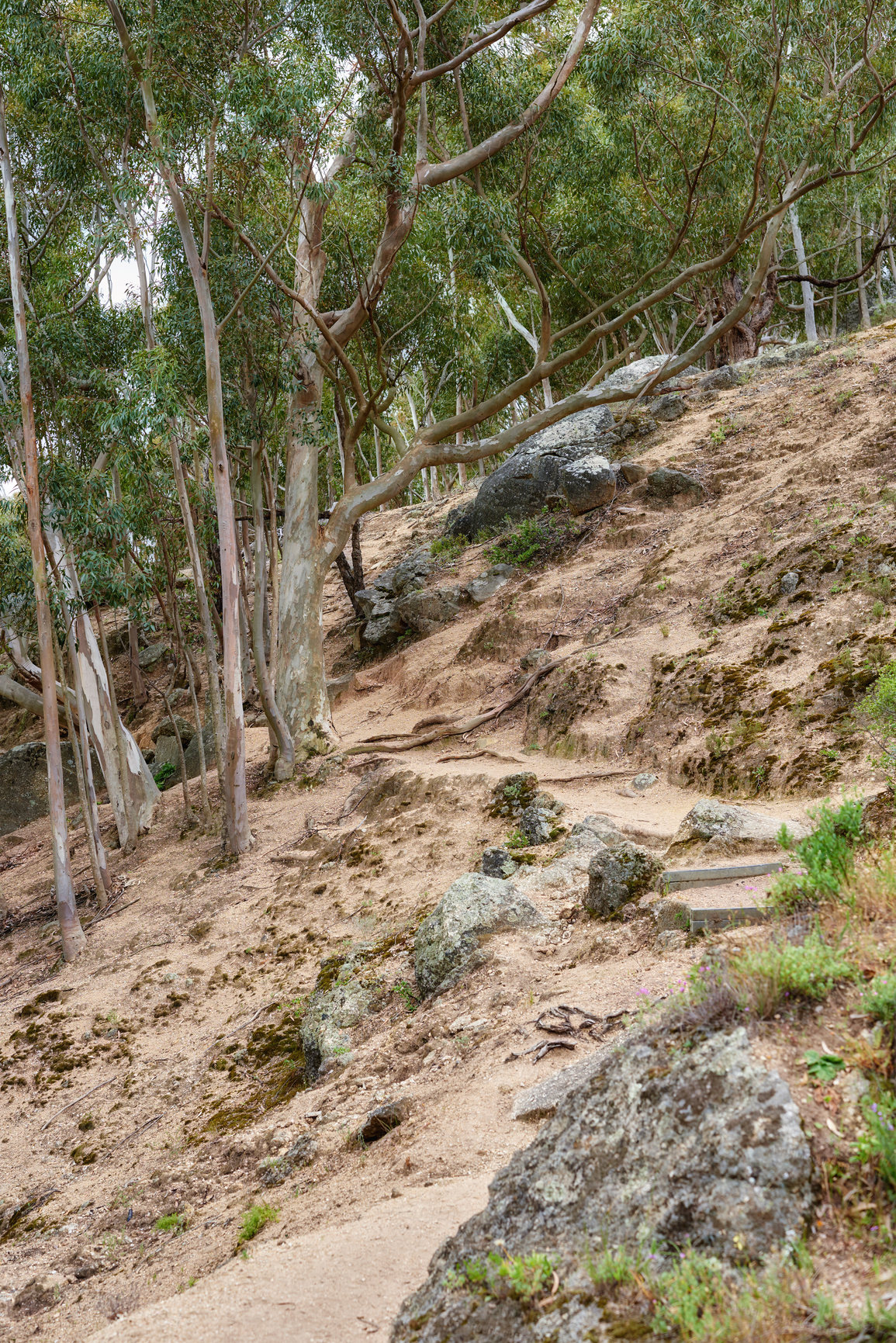 Buy stock photo Mountain trail - Table Mountain National Park