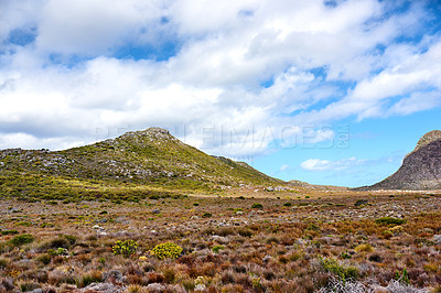 Buy stock photo The wilderness of Cape Point National Park 