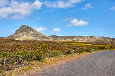 Buy stock photo The wilderness of Cape Point National Park 