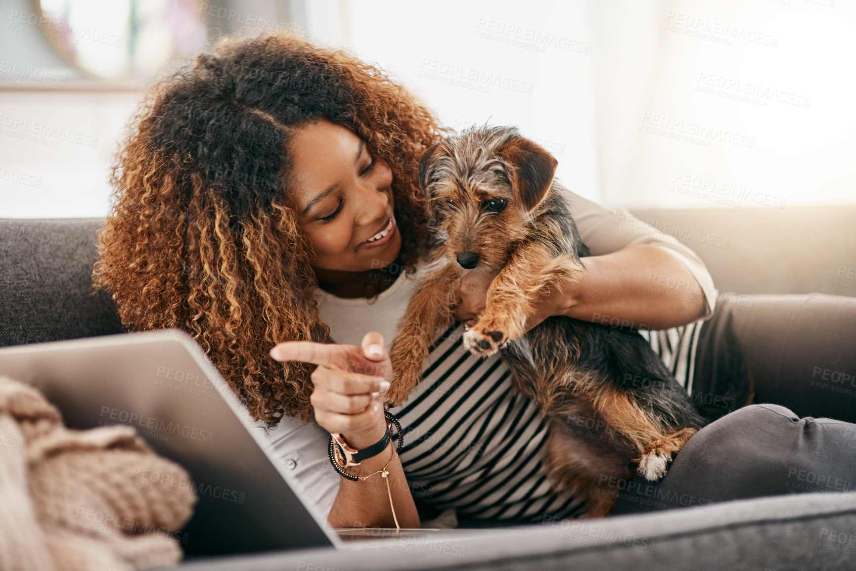 Buy stock photo Shot of a cheerful young woman playing around with her cute little puppy while being seated on a couch at home