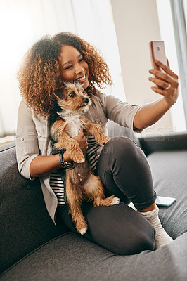 Buy stock photo Shot of a cheerful young woman taking a selfie with her cute little puppy while being seated on a couch at home