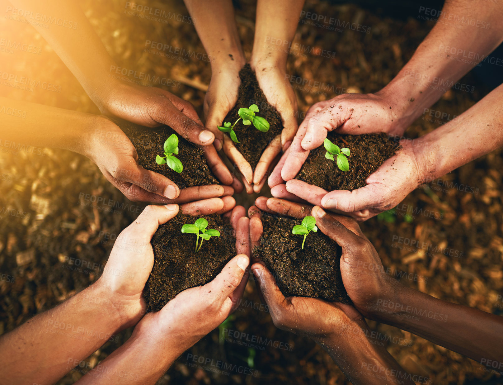Buy stock photo Closeup shot of a group of unrecognizable people holding plants growing out of soil